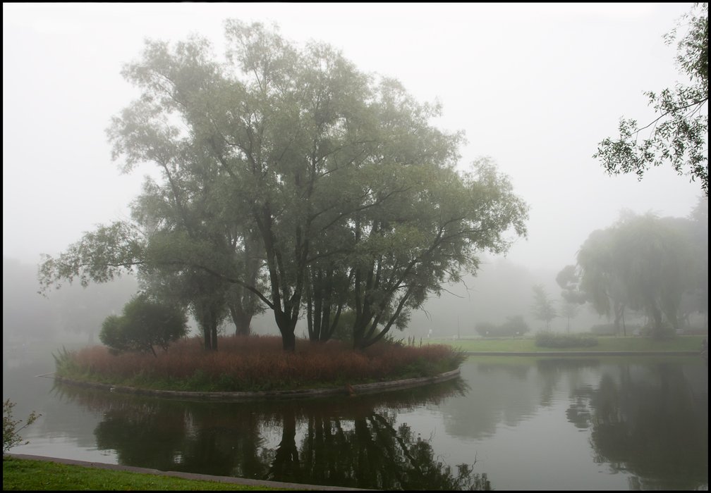 санкт-петербург, юсуповский сад, туман, isazonov