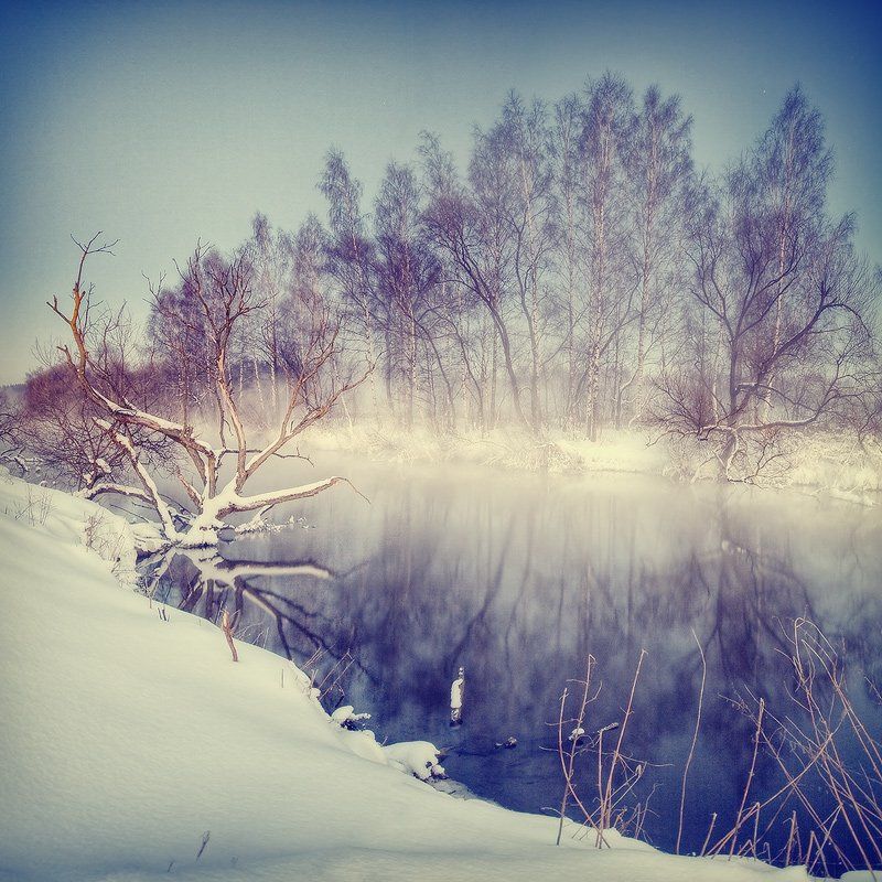 свислочь, река, туман, мороз, отражение, коряга, Dmitry Apalikov