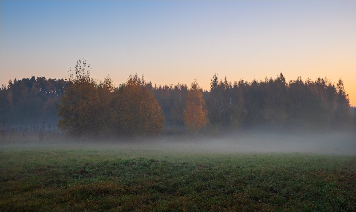 рассвет, поле, лес, туман,, Сергей Шабуневич