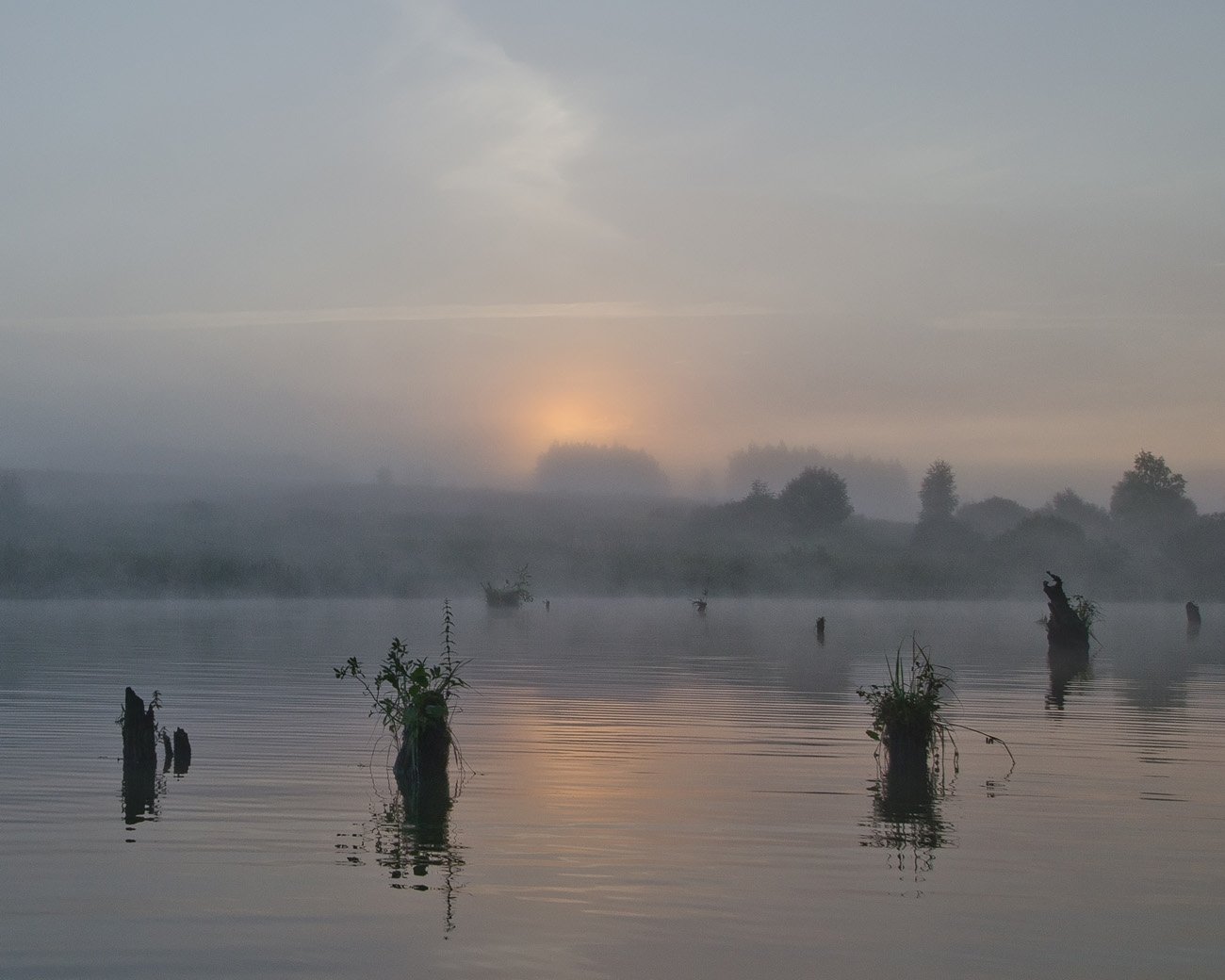 утро, туман, озеро, новое, Михаил Агеев