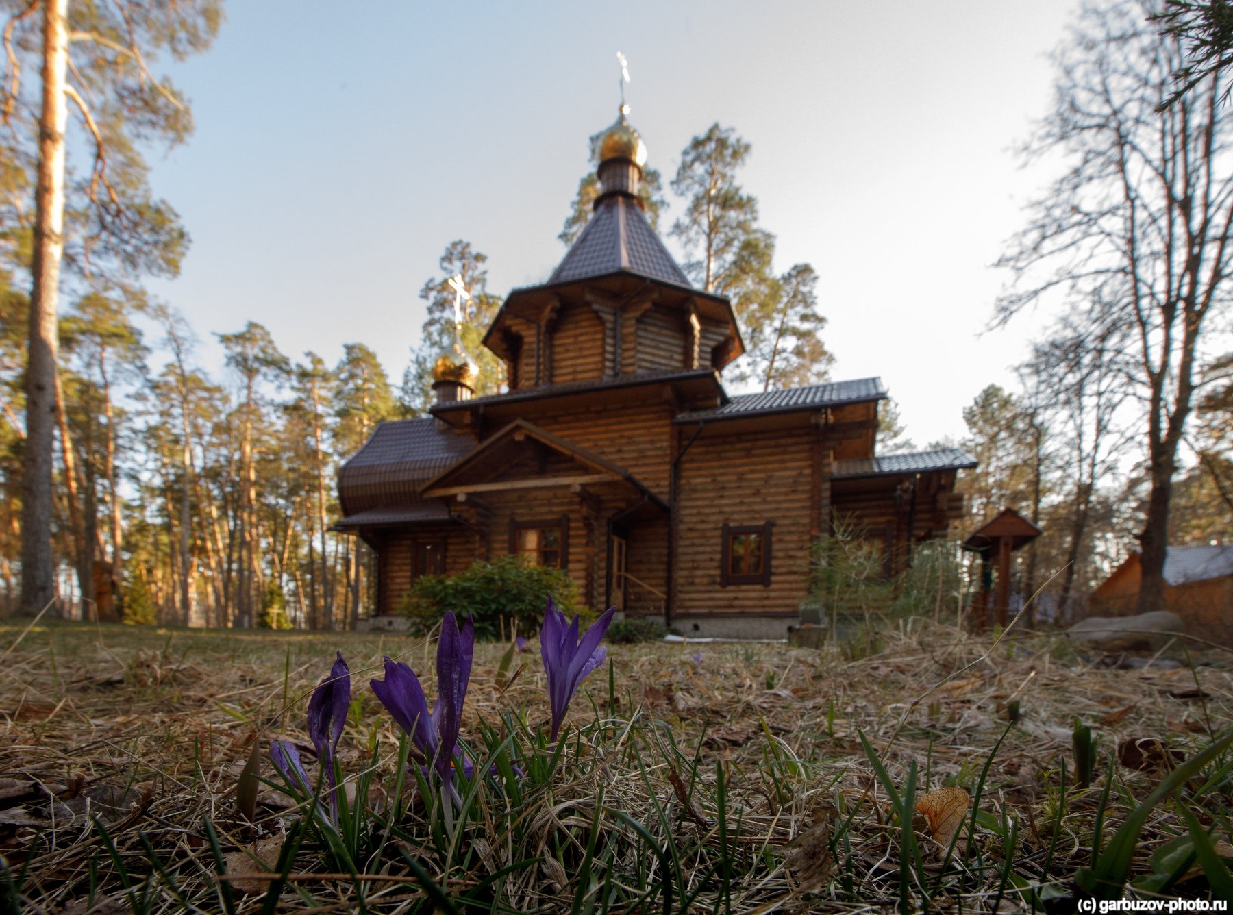 Церковь Алексия царевича