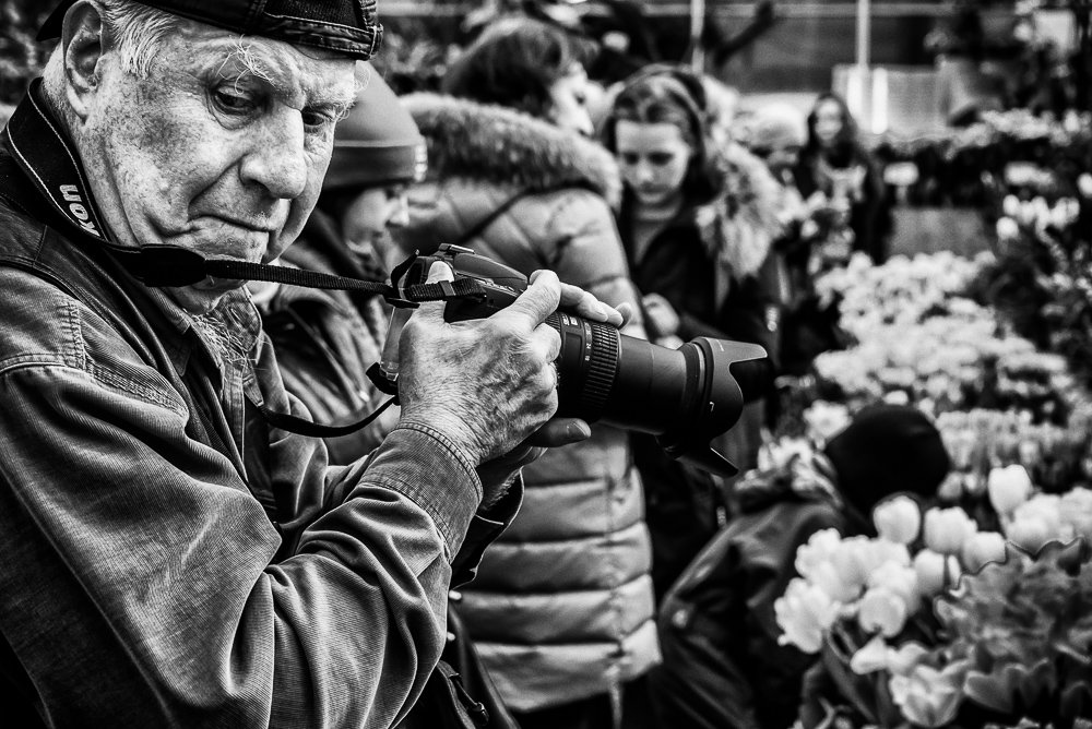 фотограф, выставка, цветы, люди, черно-белое, Владимир Брагилевский