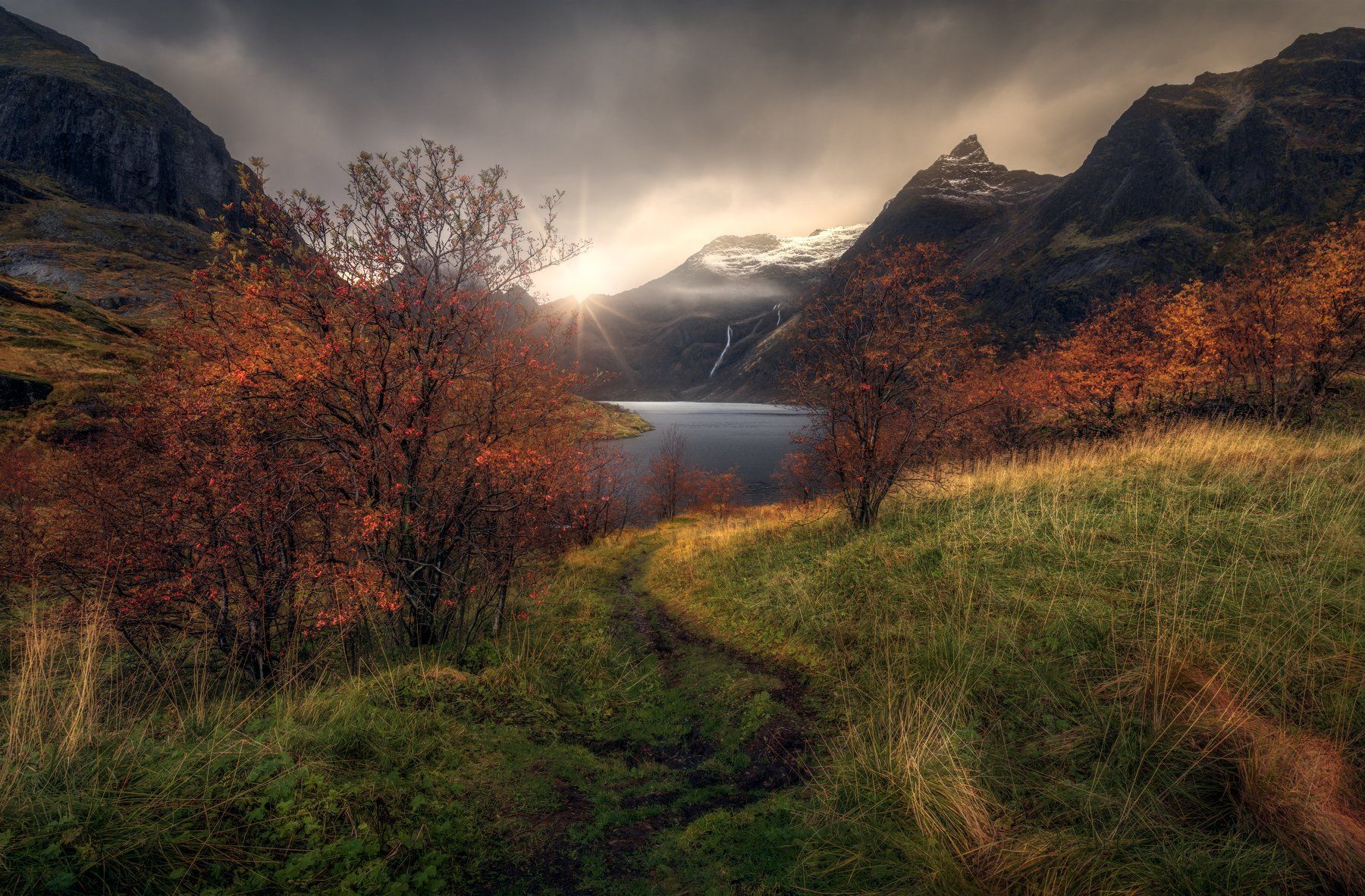 Lofoten hiking norway nikon, Mohamed Sharaf Mo