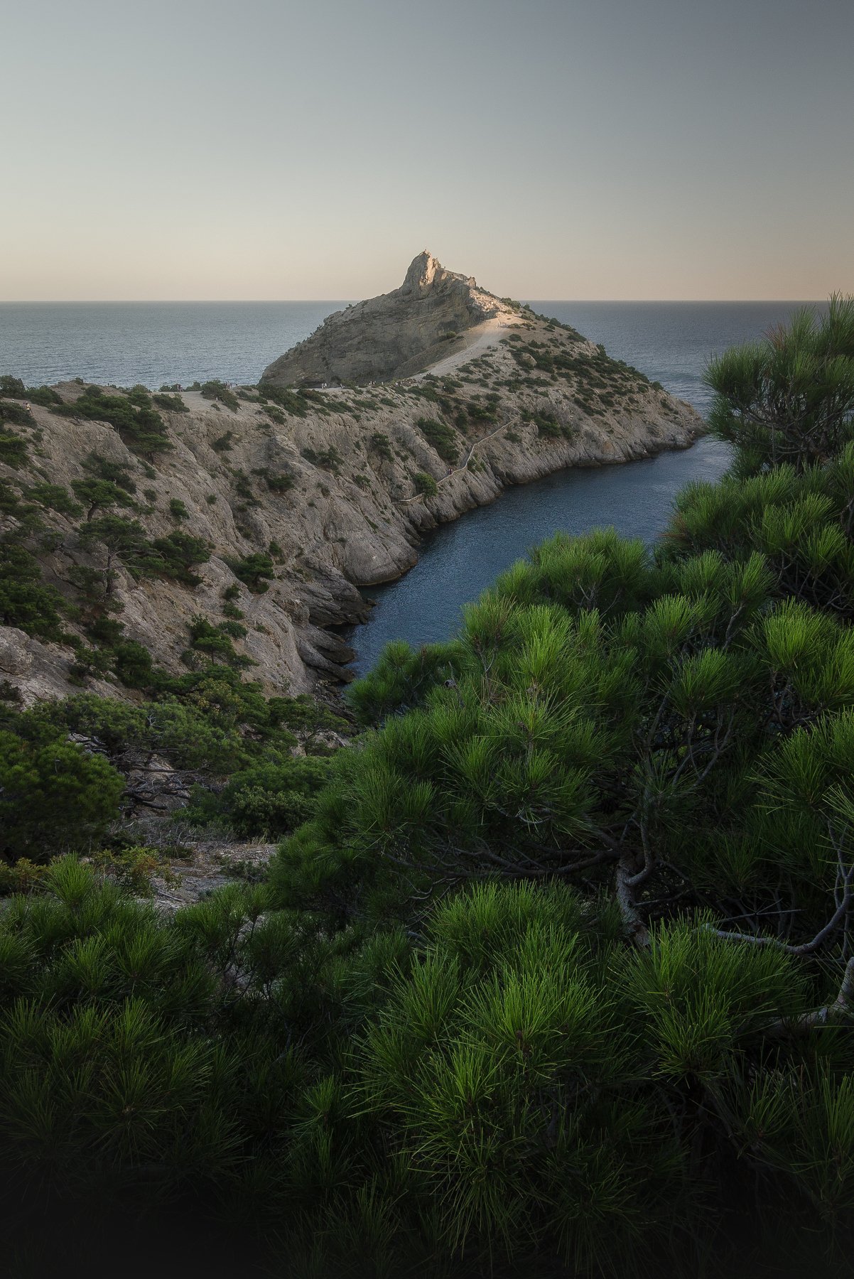 пейзаж природа море дерево мыс гора крым , Даниил Силантьев