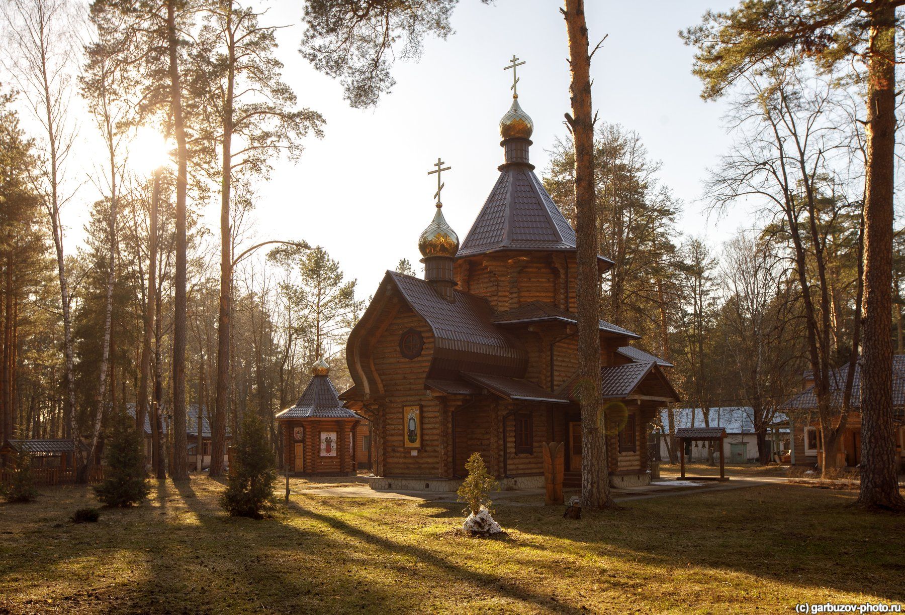 Алексин. Царевиче-Алексиевский храм.. Фотограф Гарбузов Илья