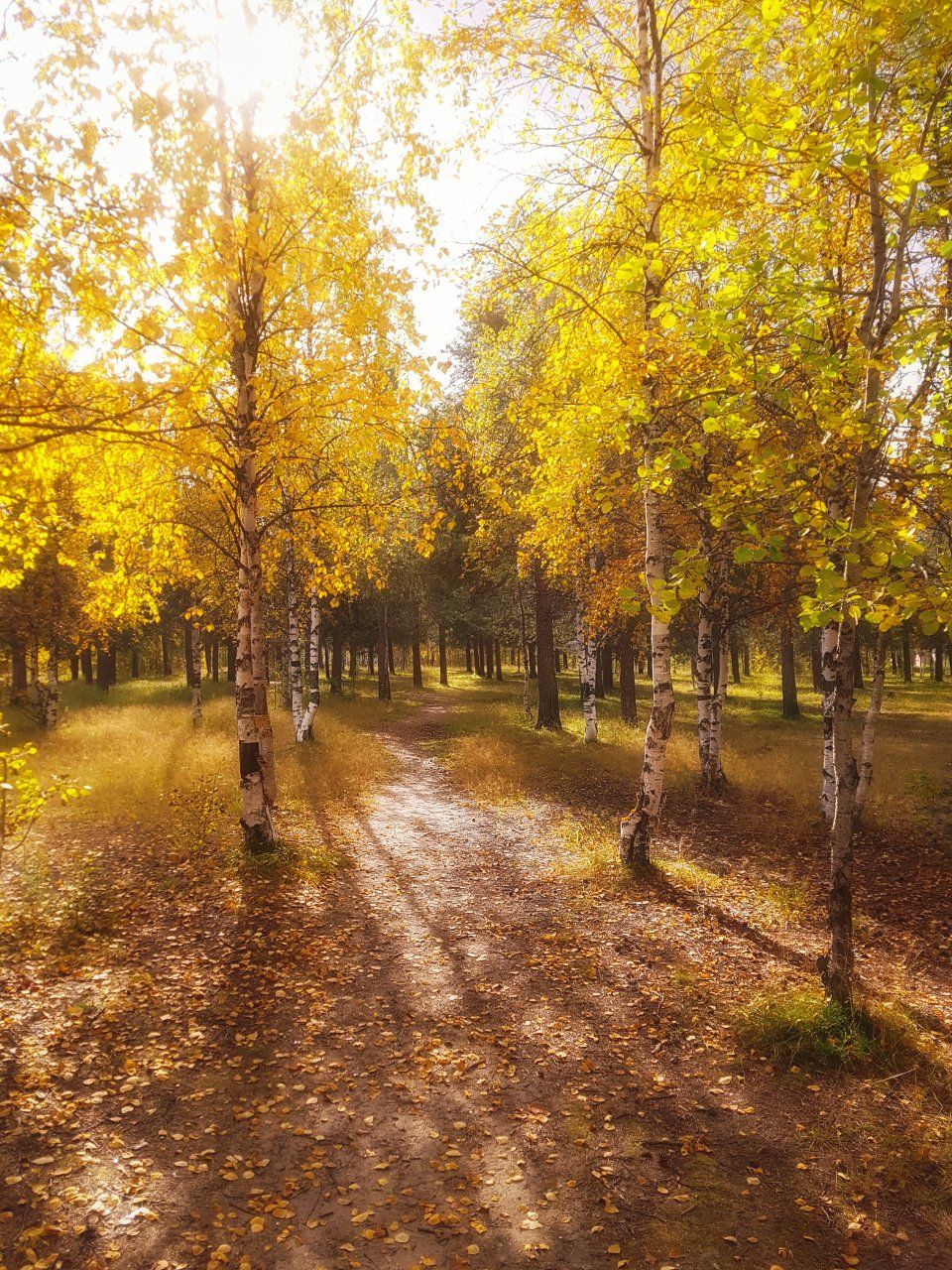 печора,осень,мобильная фотография, Игорь Подобаев