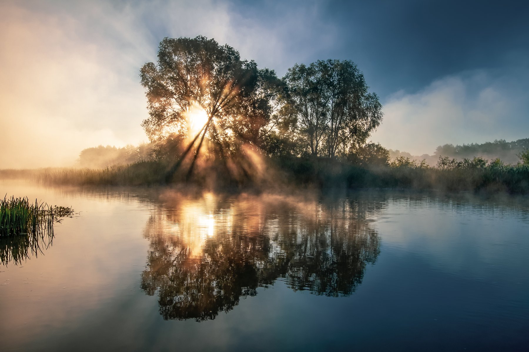 sunrise dawn mist river bank morning summer рассвет туман река берег утро лето, Александр Хрипушин