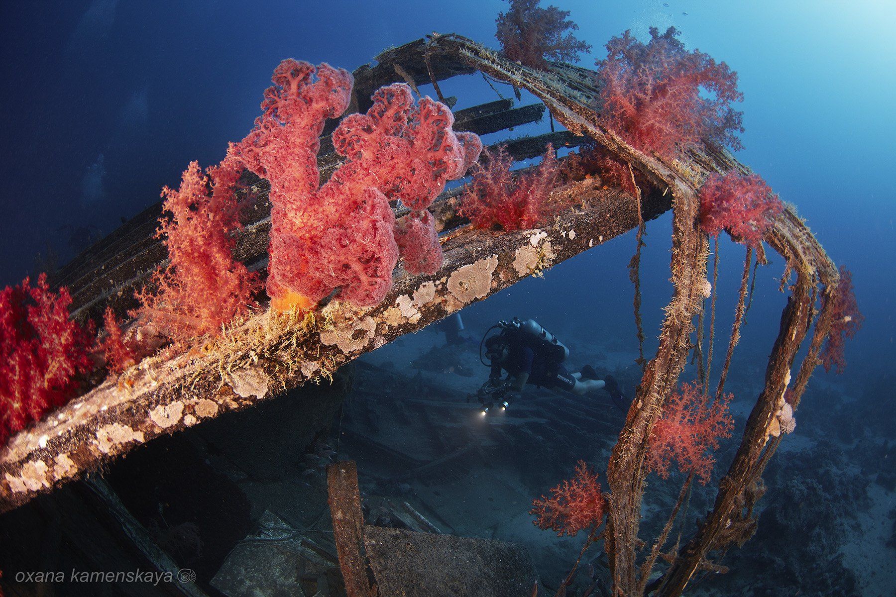 underwater wreck diving , Оксана Каменская