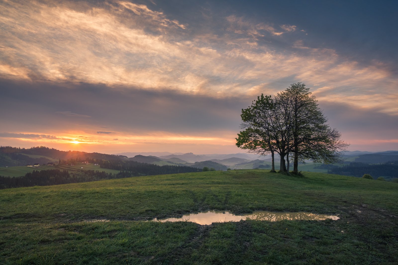 mountains, spisz, pieniny, poland, morning, sunrise, sun, tree, lonely,, Artur Bociarski