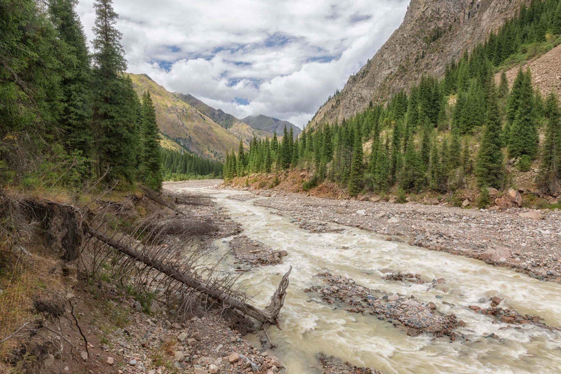 горная река, левый талгар, казахстан, заилийский алатау, лес,, Константин Маланин