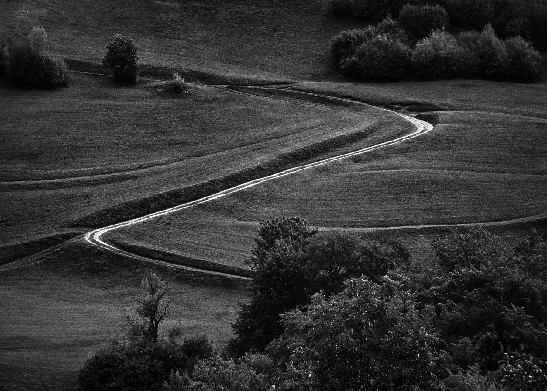 landscape,b&w,nature,field,rural,trees,shadows,agriculture,meadow, Lothar Boris Piltz