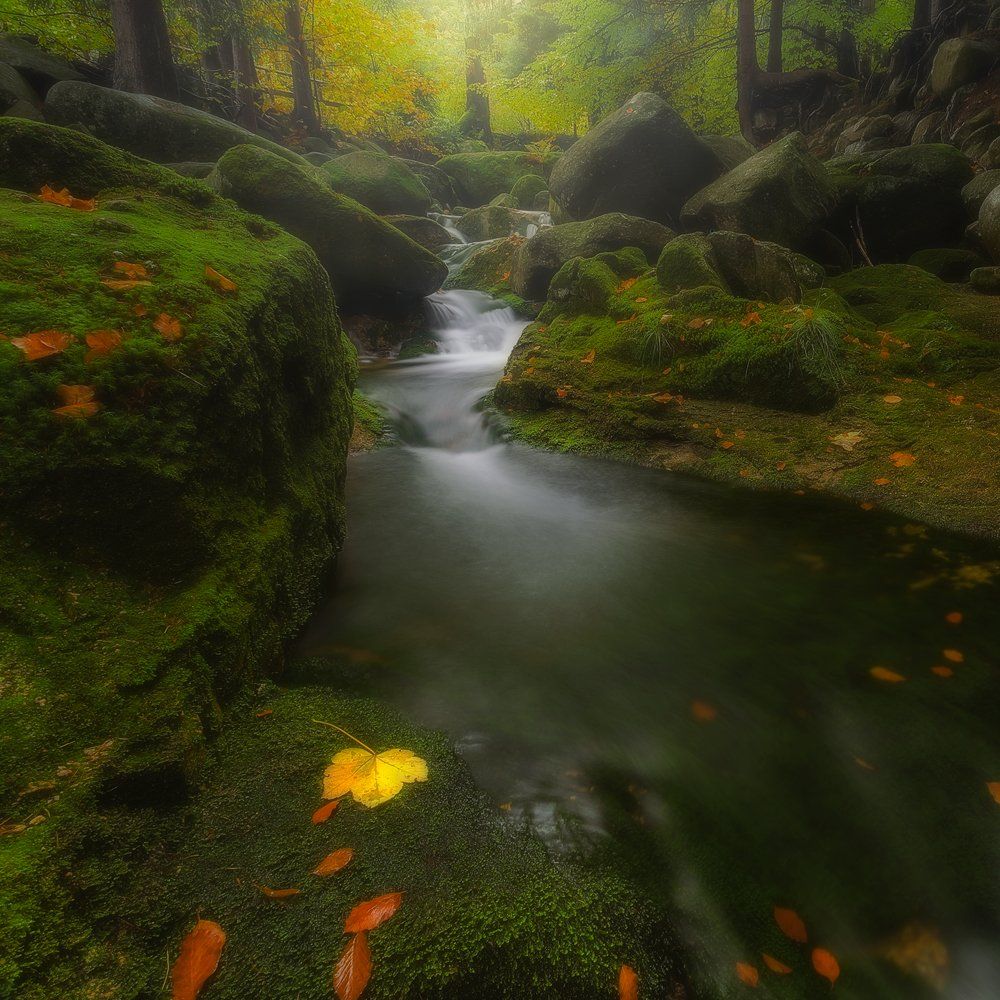 landscape,canon,mist,light,autumn,waterfall, Iza i Darek Mitręga