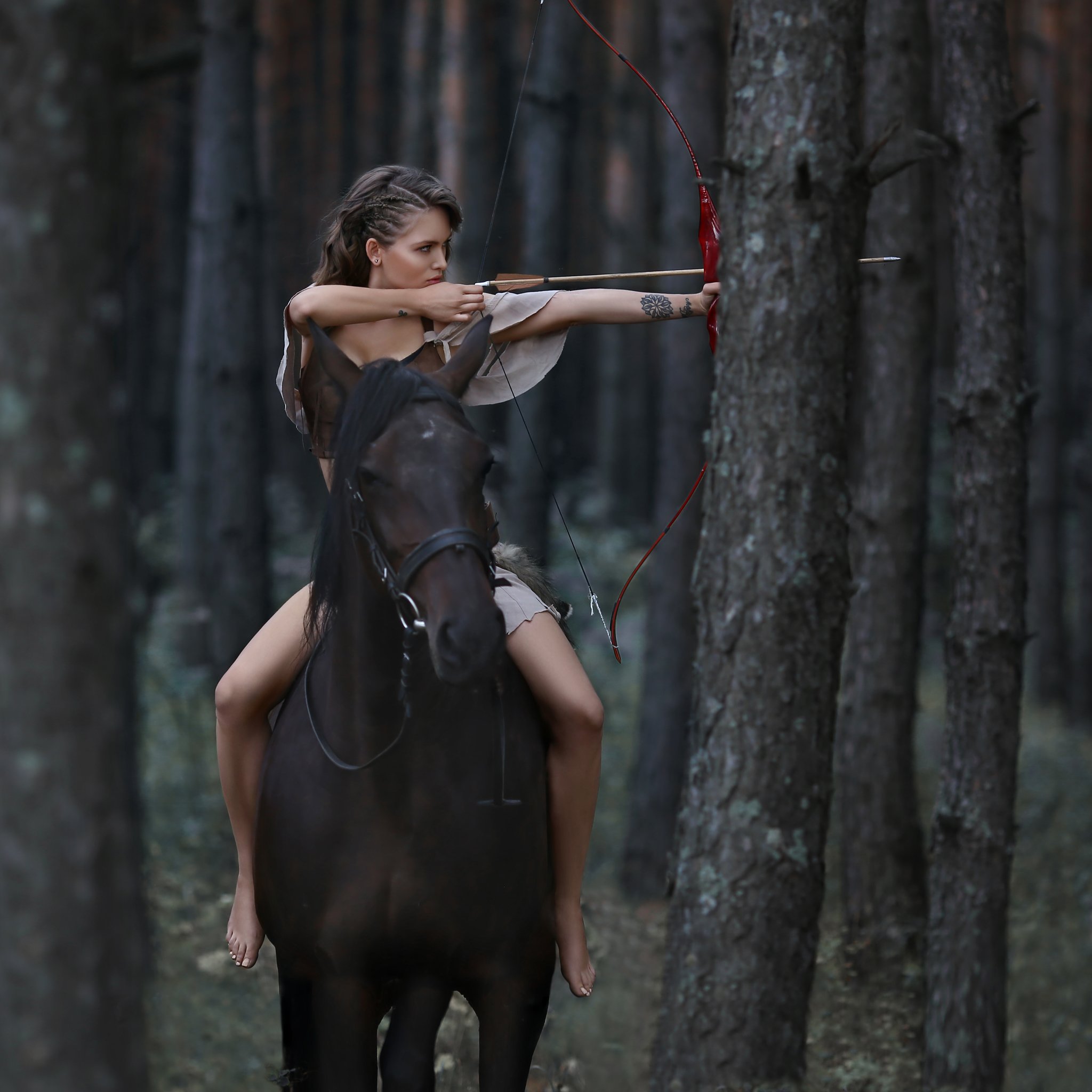амазонка, лук, стрелы, девушка с луком, стрелять из лука, стрельба, лошадь, девушка на лошади, Ирина Голубятникова