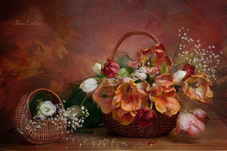 натюрморт, фотонатюрморт, тюльпаны, весна, цветы, still-life, Alina Lankina