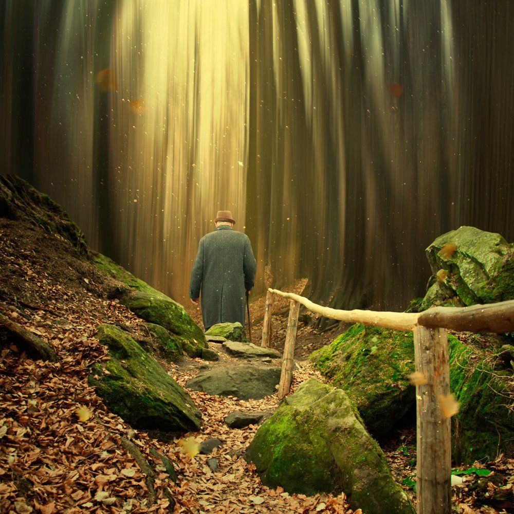 forest, old, tree, path, bench, grass, man, alone, green, wheat, magic, walking, country, Caras Ionut