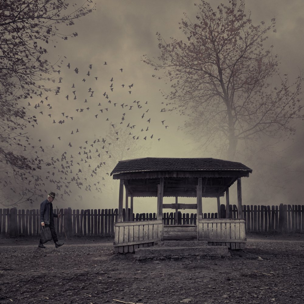 birds,tree,man,walk,fountain,walking,fog,early morning,mystery, Caras Ionut