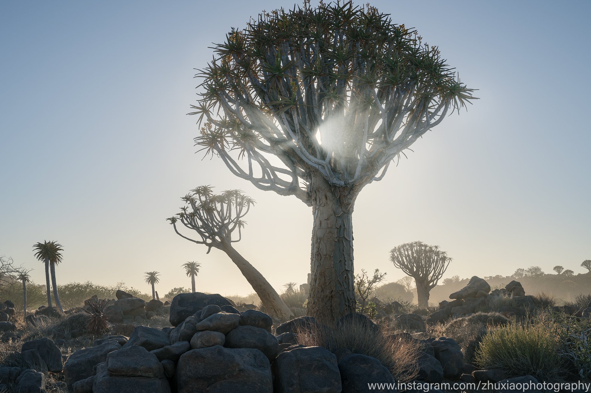 Namibia, Zhu Xiao