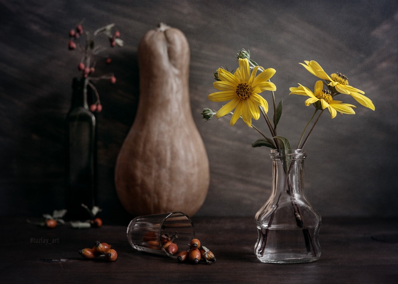топинамбур, желтые цветы, тыква, шиповник, Владимир Тузлай