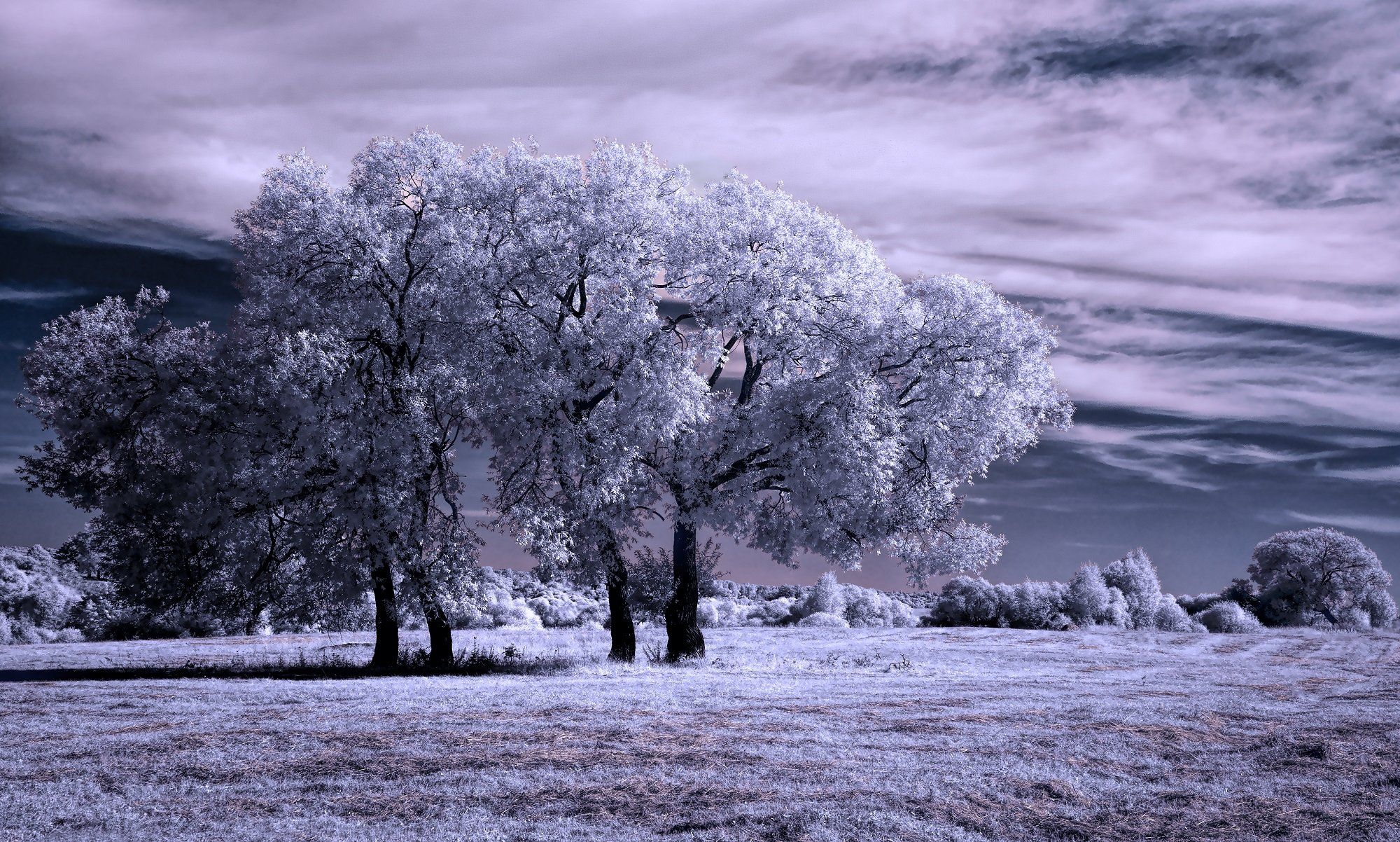 infrared,ик-фото,инфракрасное фото, инфракрасная фотография, пейзаж, лето, Sixten ( Сергей )