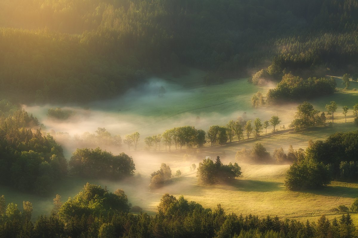 landscape,canon,mist,light,spring, Iza i Darek Mitręga