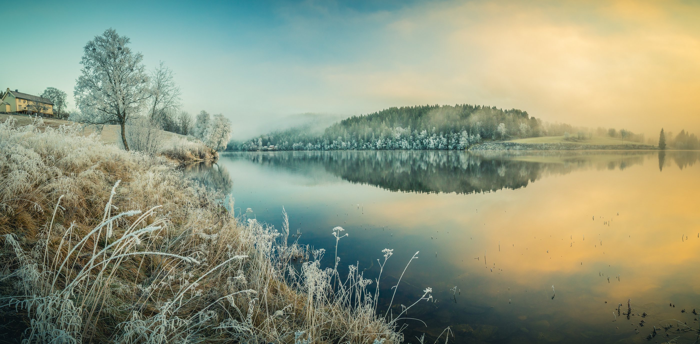 water,frost,lake,lake shore,shoreline,forest,sunrise,frost,ice,snow,white,morning,moody,norway,norwegian,, Adrian Szatewicz
