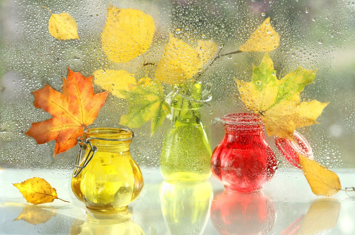 осень, природа, листья, бутылочки, Шруб (Беляева) Татьяна