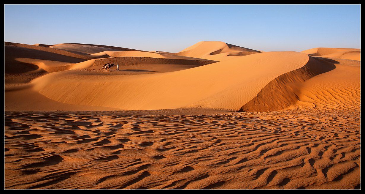 алжир, западный эрг,бербер, караван, дюны, песок, Виктория Роготнева