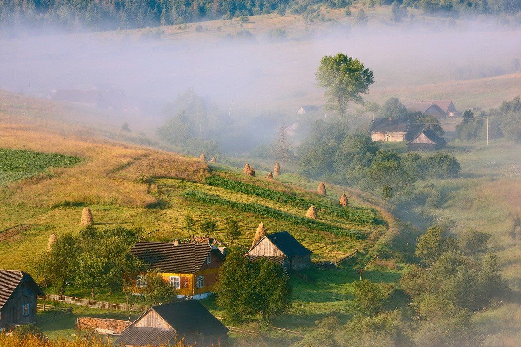 карпаты, лето, Вейзе Максим