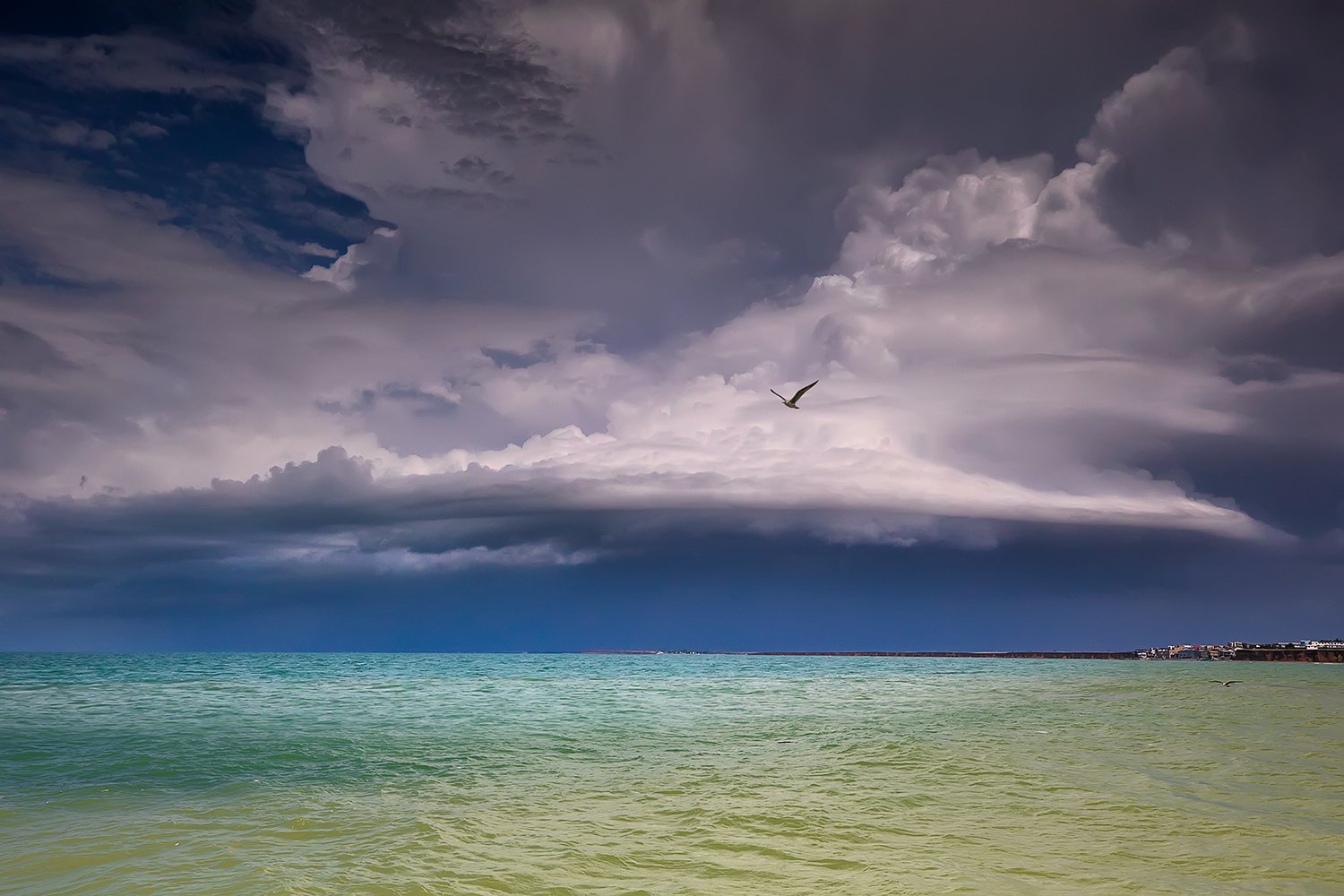 Black sea, Crimea, waves, seagull, storm, dramatic clouds, Ольга Тарасюк