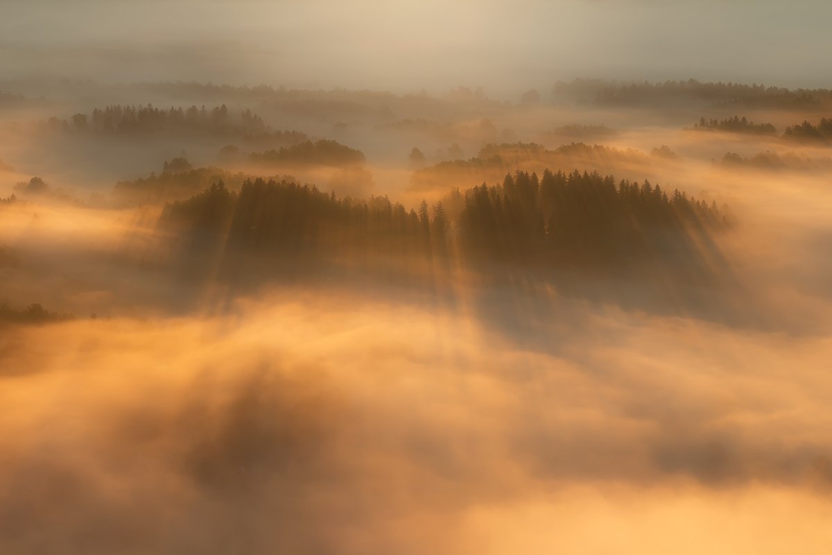 landscape,canon,mist,light,spring, Iza i Darek Mitręga
