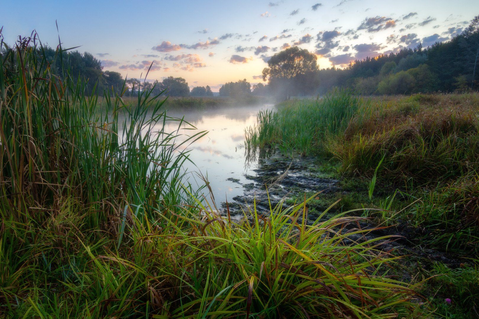 волчья, туман, утро, рассвет, река, fog, morning, dawn, river, Виктор Тулбанов