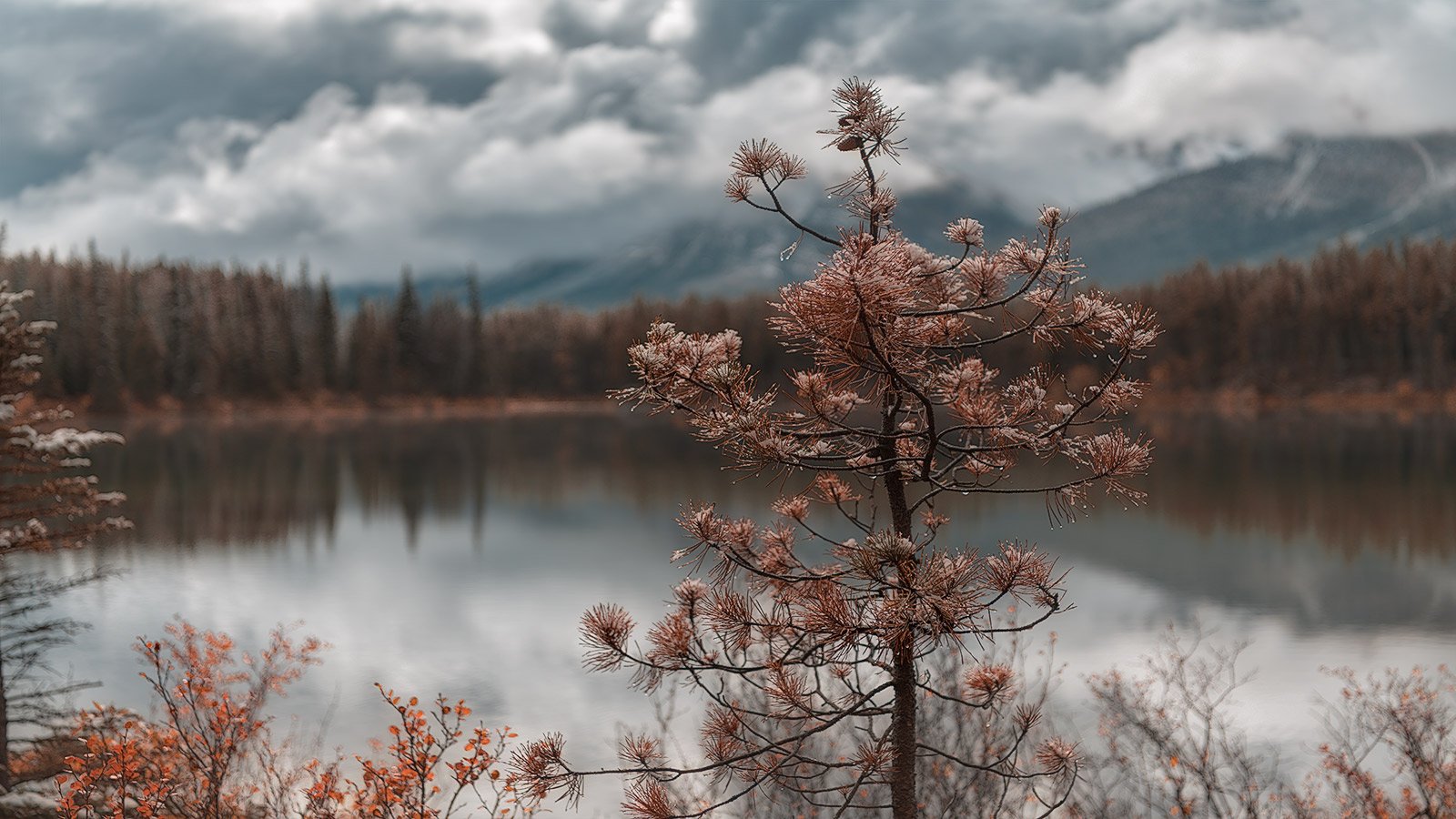alberta, canada, lake, mountains, @1pro.photo, Emelyanov Alex