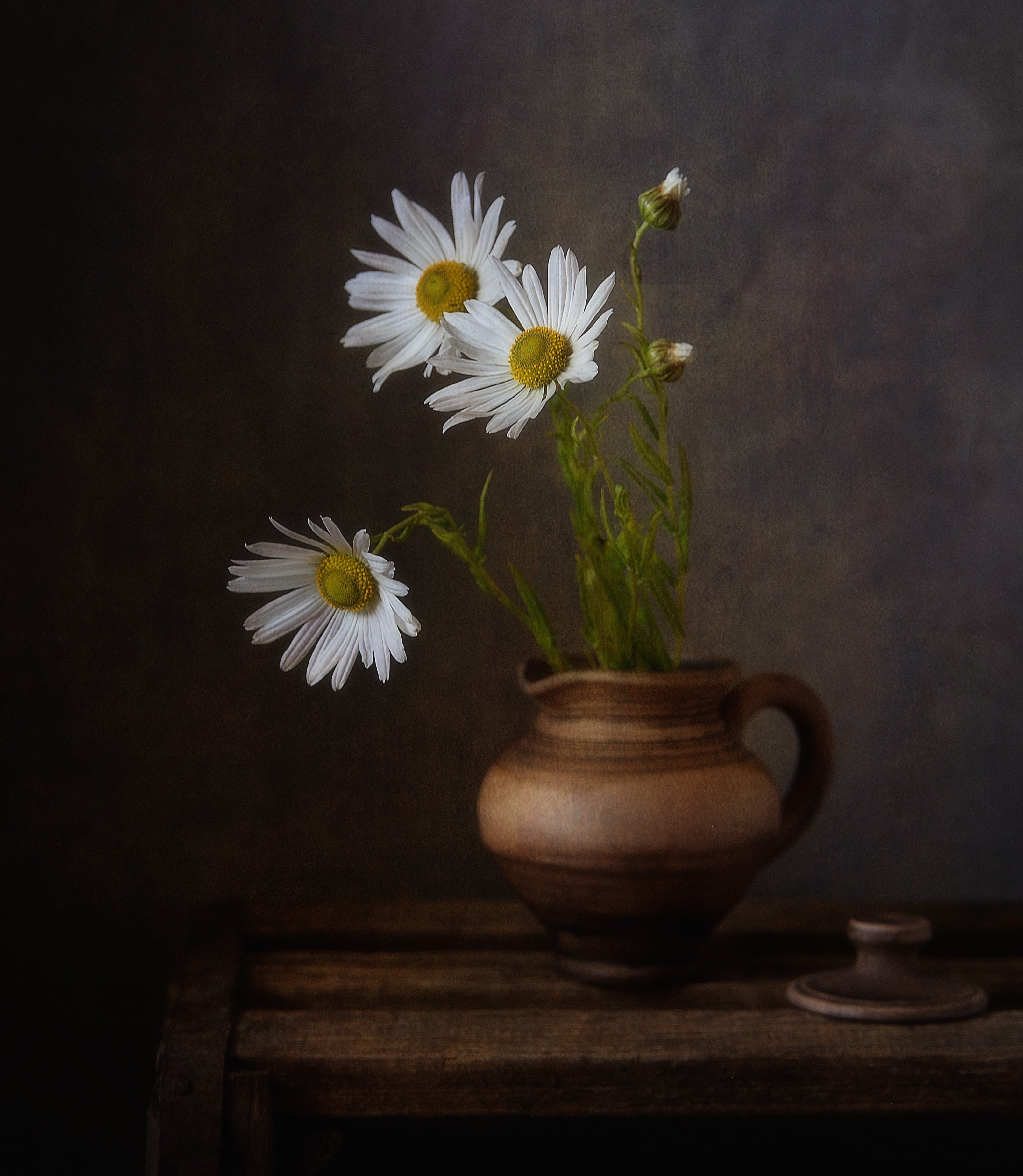 натюрморт,still life,цветы,хризантемы, Наталия К