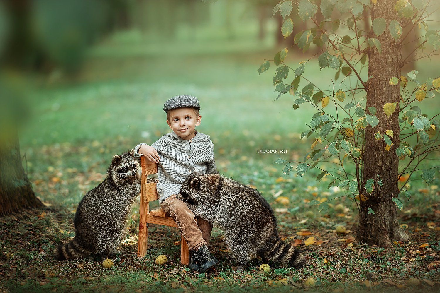 art photo, art, портрет, осень, autumn, ребенок, прогулка, мальчик, boy, животное, енот, raccoon, радость, малыш, друзья, happy, любовь, love, 105mm, kid, children, beautiful, Юлия Сафо