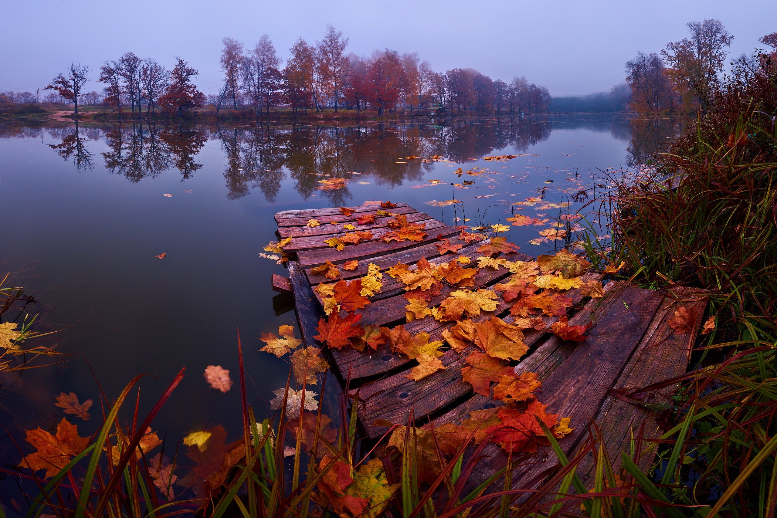 Подмосковье, осень, листья, Konstantin Voronov