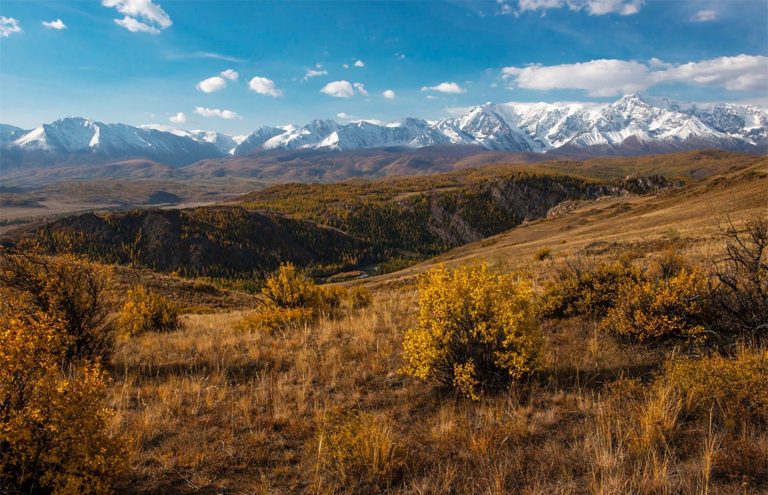 алтай, осень, горы, хребет, чуя,, Игорь Токарев