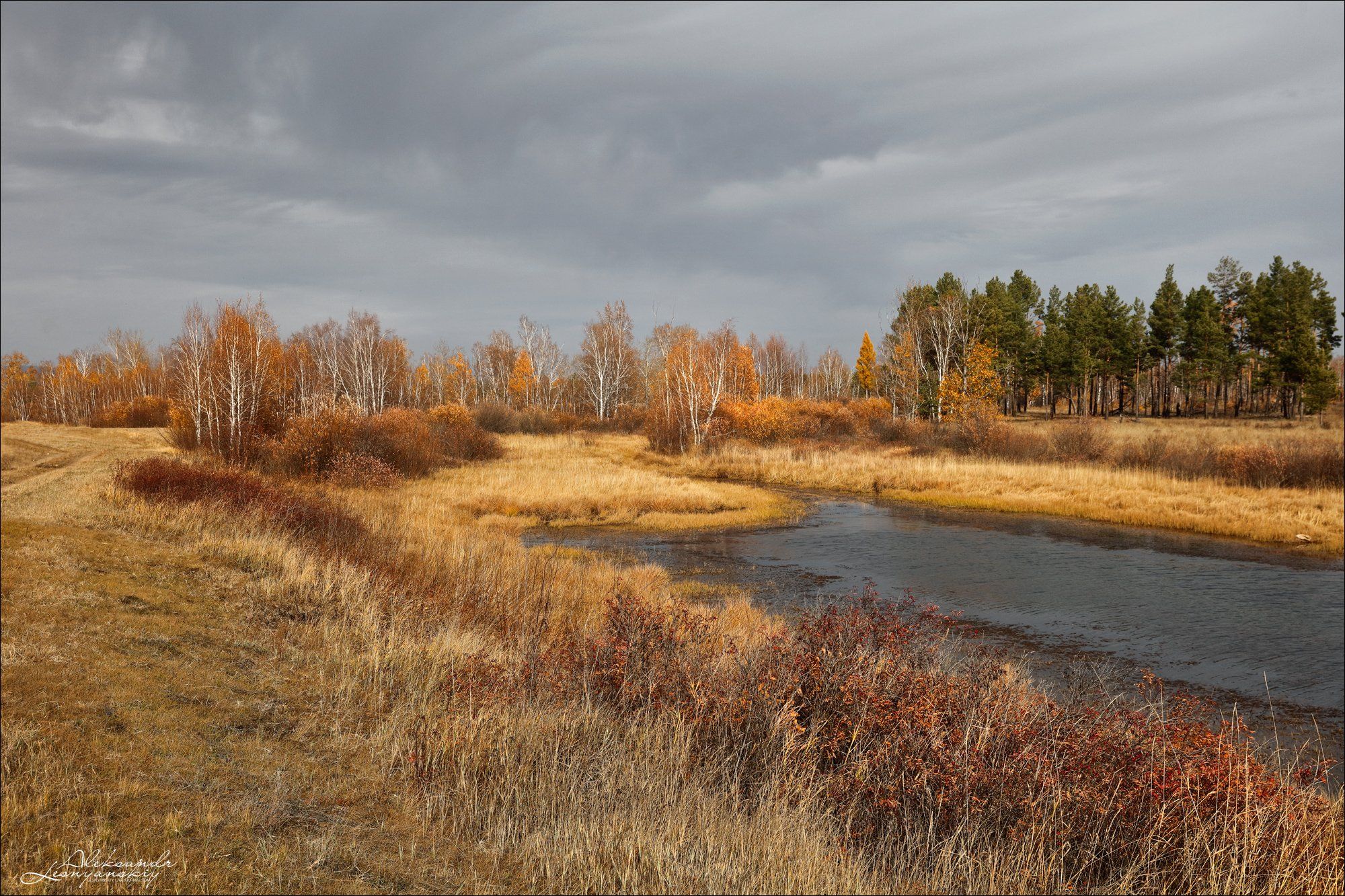 забайкальский край, чита, Александр Леснянский