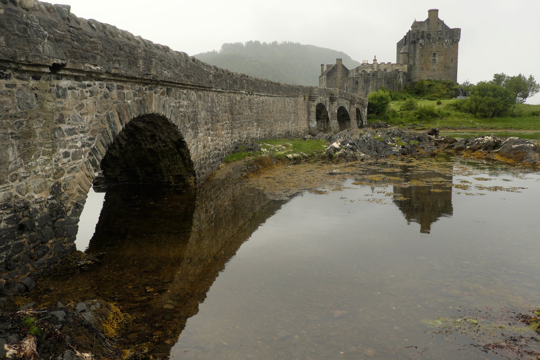 шотландия, замок, туман, великобритания, мост, средневековье, scotland, castle, mist, united kingdom, medieval, Serg Pechenizhskiy