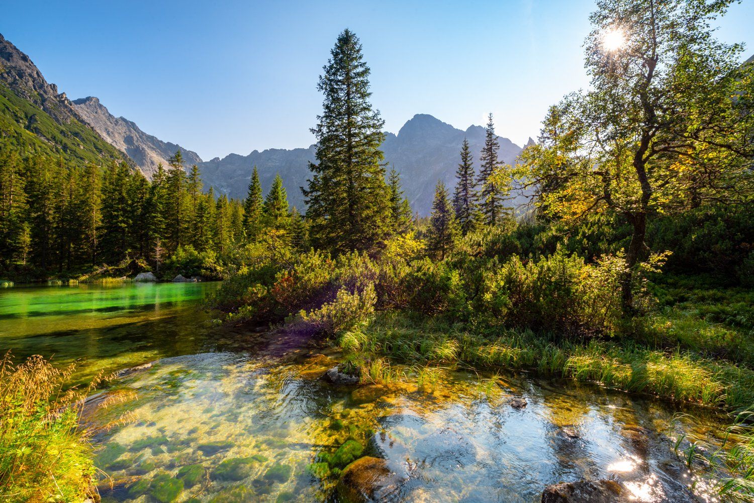 landscape, stream, mountains, rybi potok, morskie oko, zakopane, poland, sun, green, tatry, view, trees, niebo, water, Bogdan Bafia