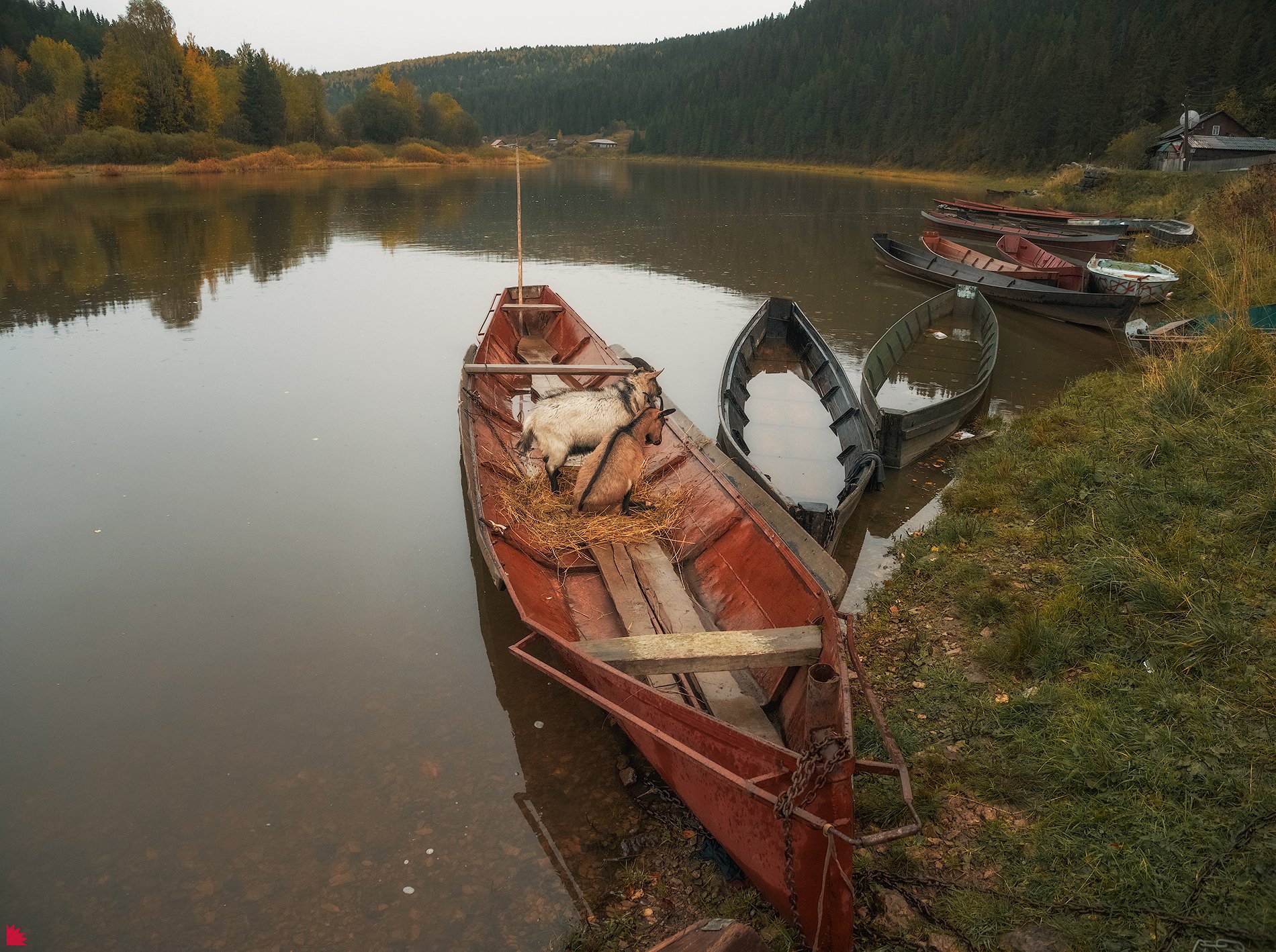 , Осипов Ёжъ Александр