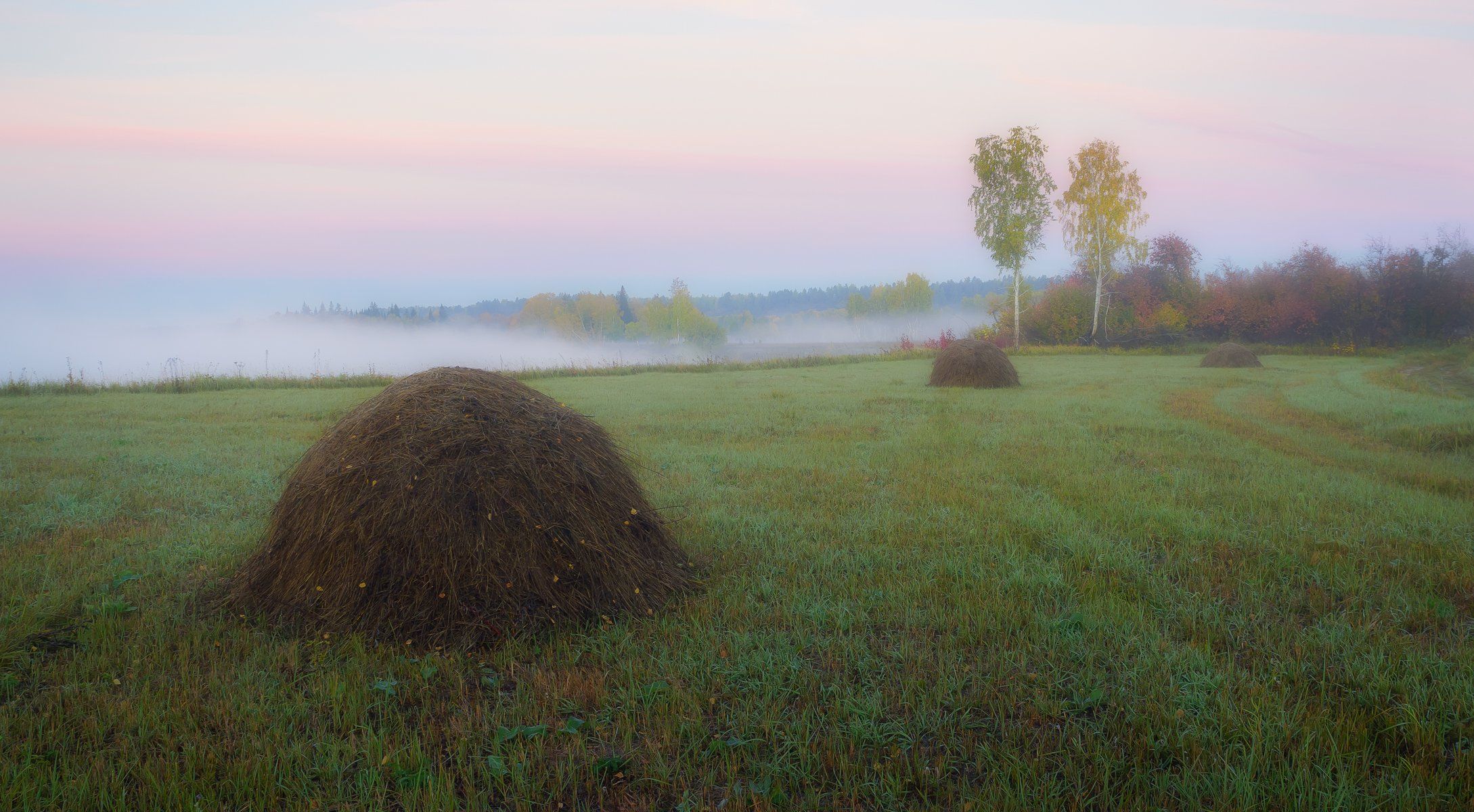 осень утро туман копнысена, Сергей Козлов
