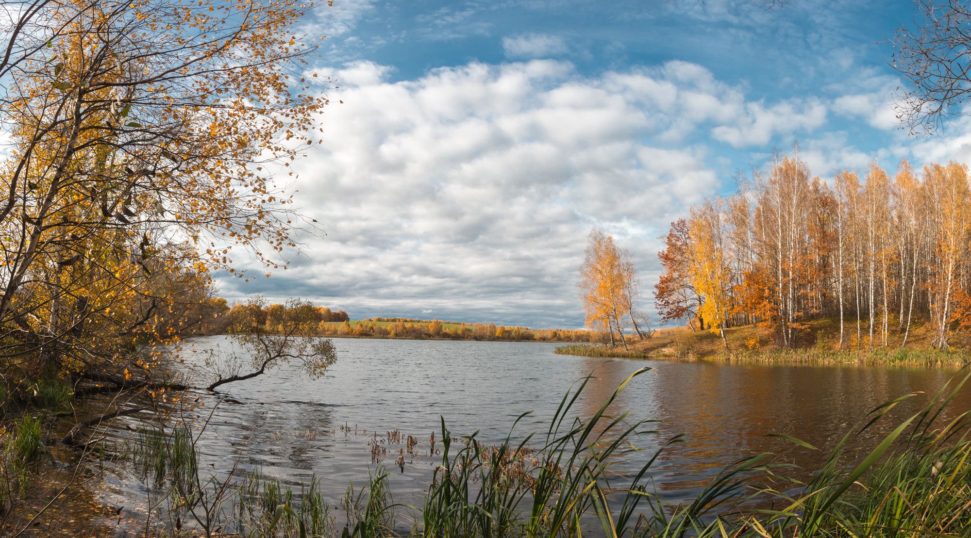 , Александр