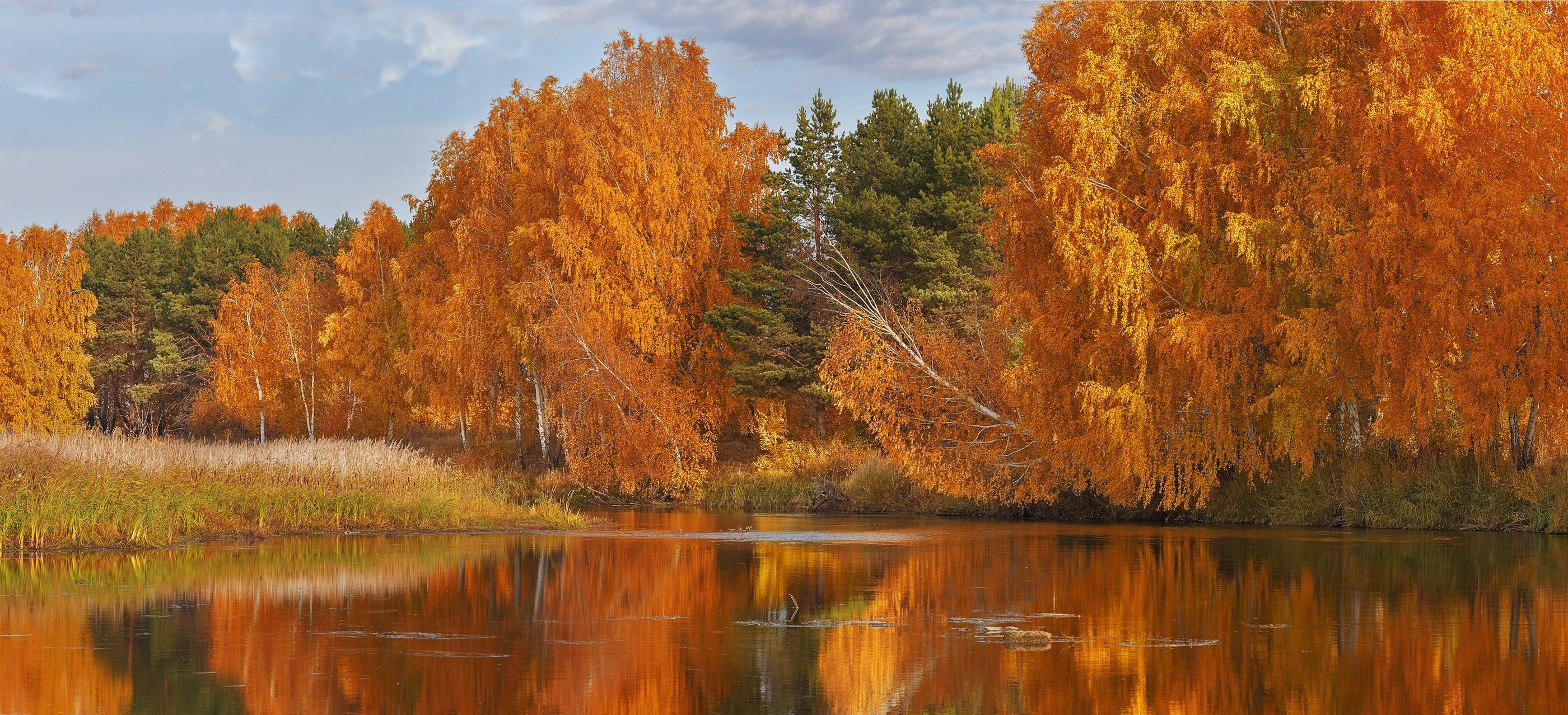 Какая природа осенью. Золотая осень в лесу у озера. Золотая осень озеро природа река лес. Золотая осень река. Осенний лес с речкой.