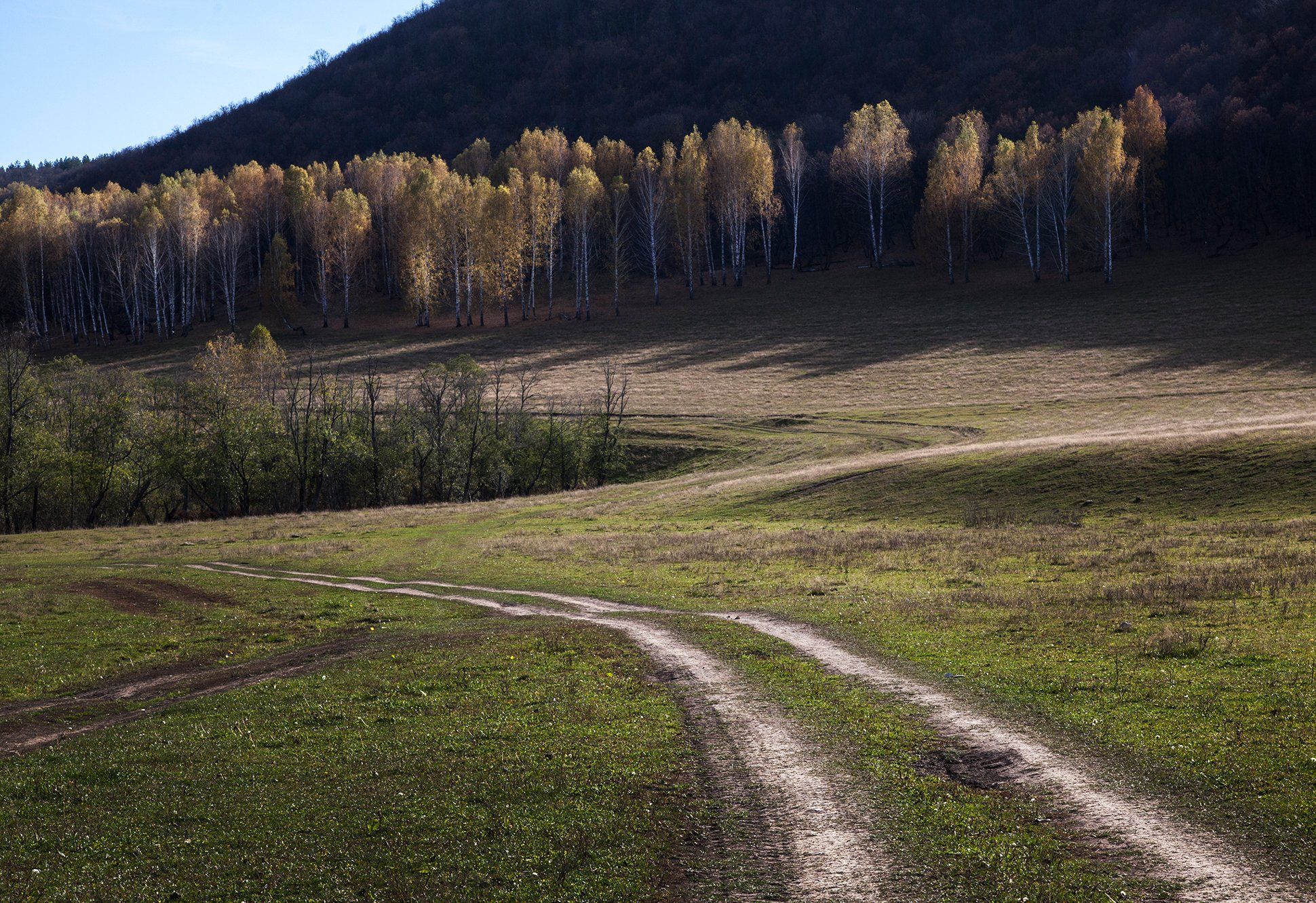 природа,осень,дорога,горы,лес, Тамара Андреева