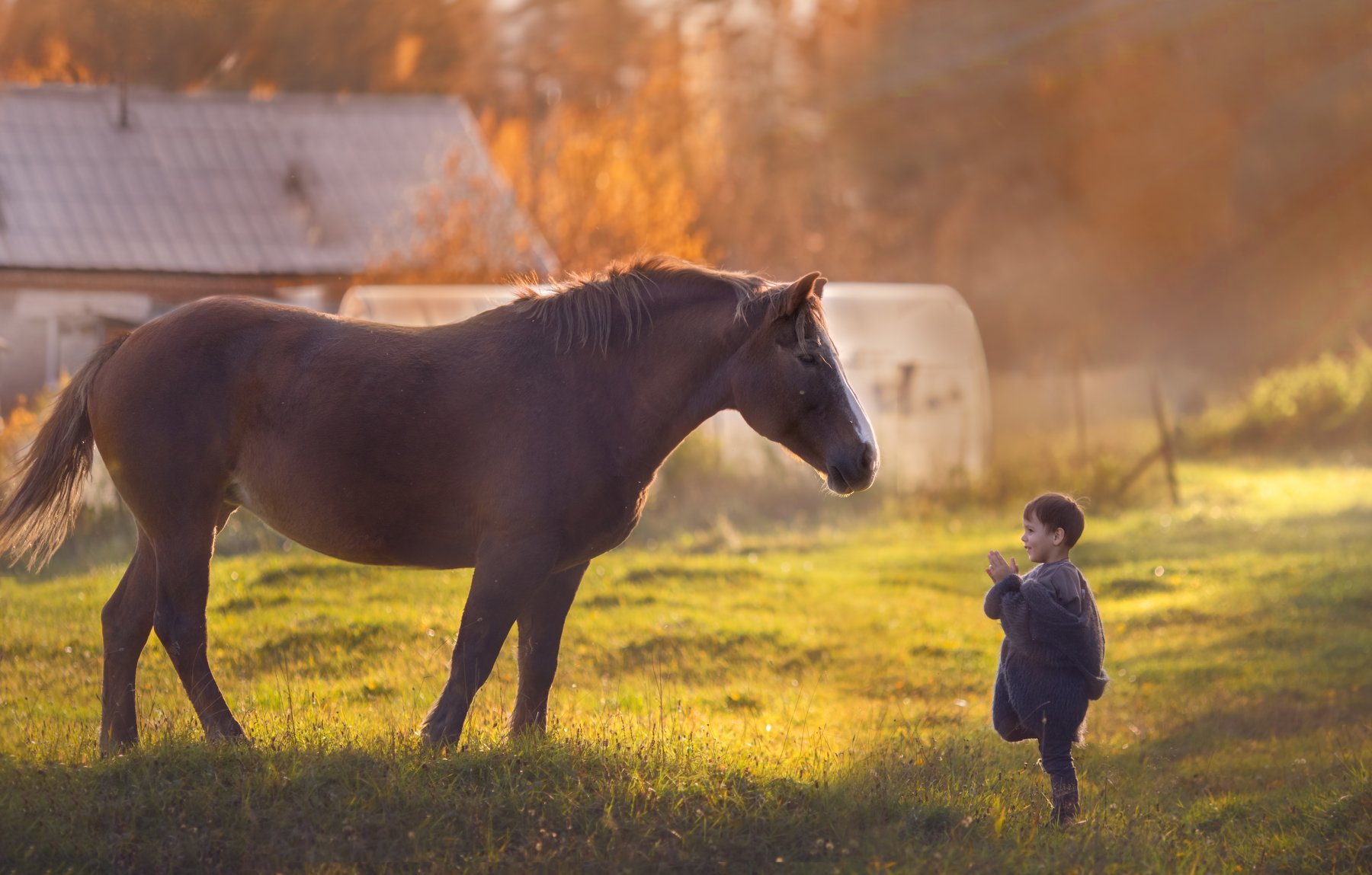 мальчик лошадь деревня знакомство, Екатерина Годова