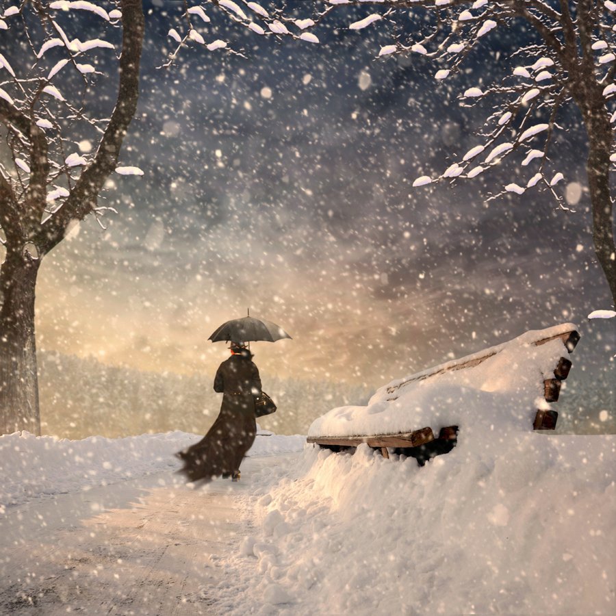girl, winter, umbrella, reflection, light, tree, bench, snow, ice, shinning, Caras Ionut