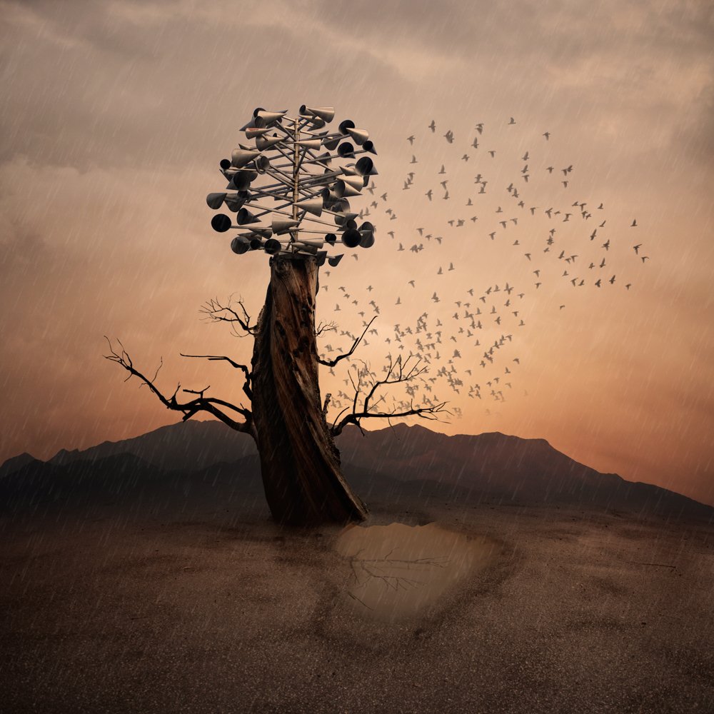 fire, sky, red, birds, clouds, tree, fly, crow, ground, mounting, stand, burn, con, Caras Ionut