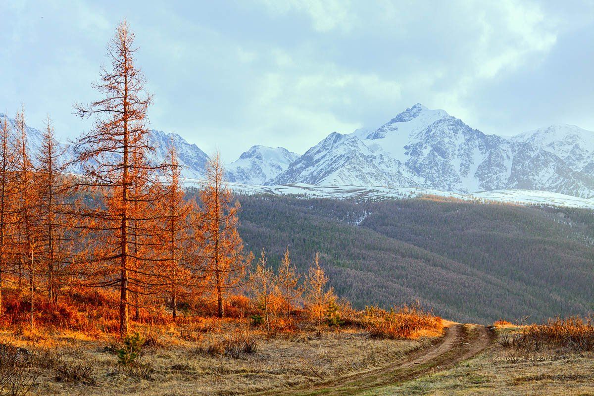 , Качурин Алексей