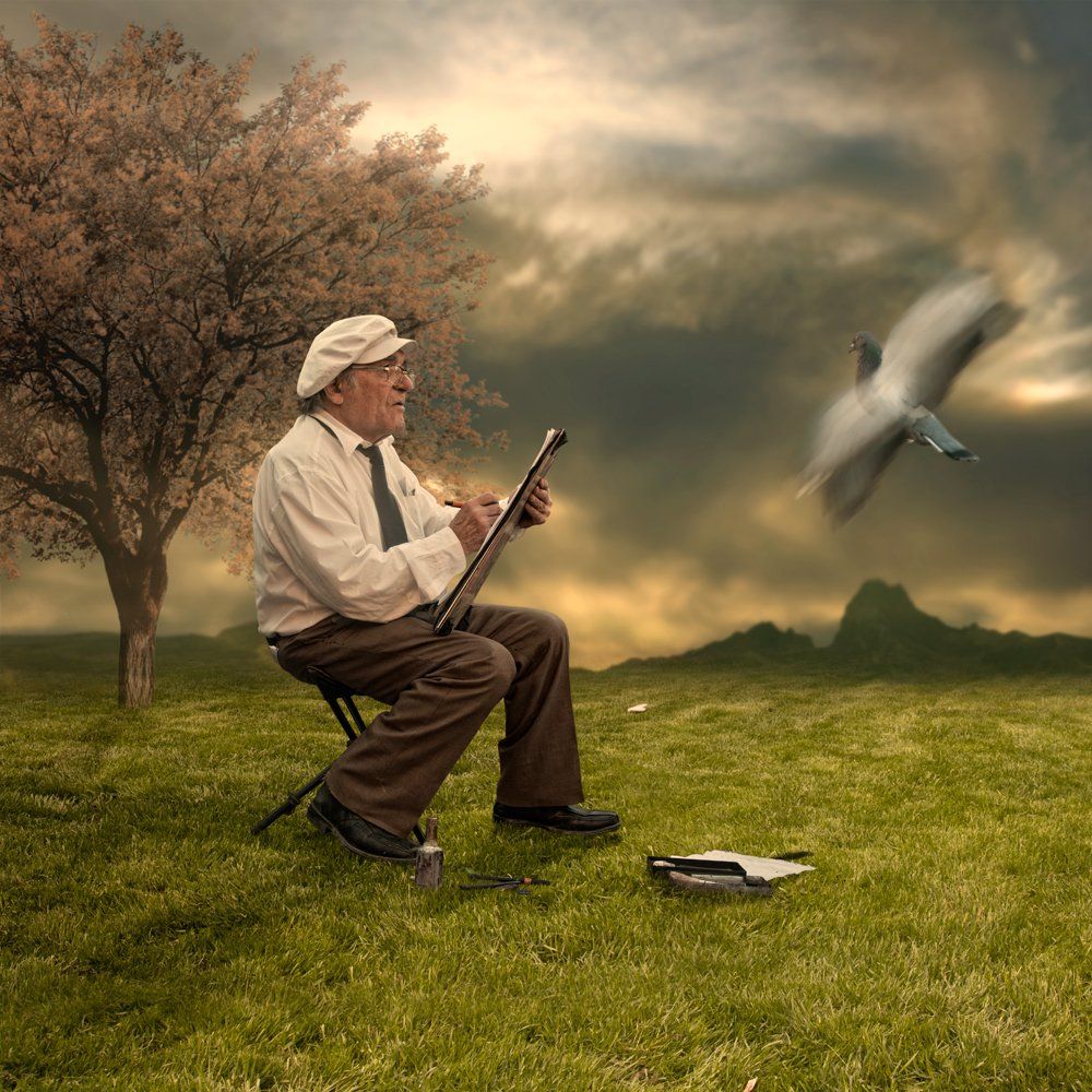 sky, birds, reflection, light, clouds, tree, man, fly, wood, artist, dove, drawing, painting, mouting, Caras Ionut