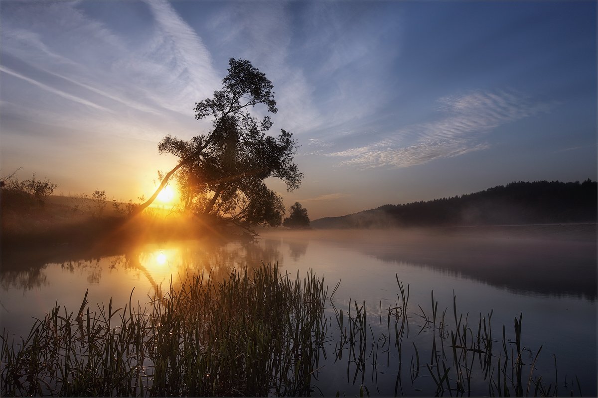 утро, рассвет, река, туман, Сергей